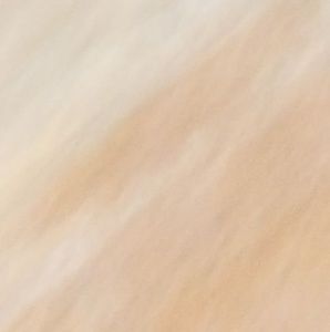 Meet your Posher, Mascotas